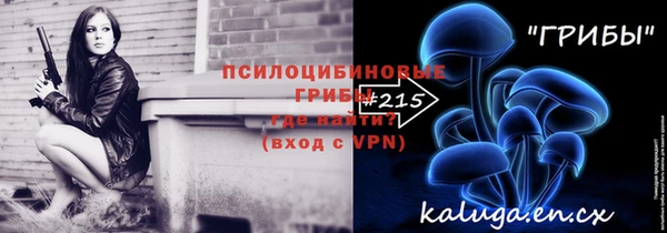 соль ск Белокуриха