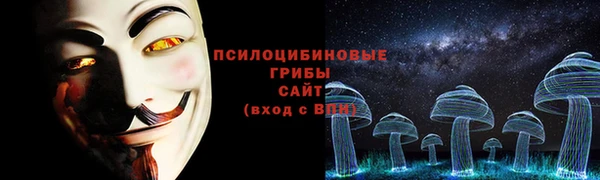шишки Белоозёрский
