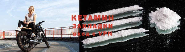 шишки Белоозёрский