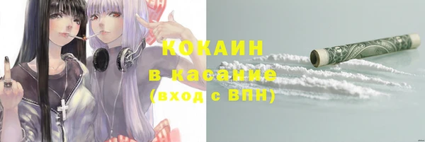 шишки Белоозёрский