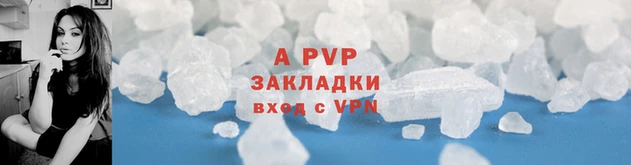 шишки Белоозёрский