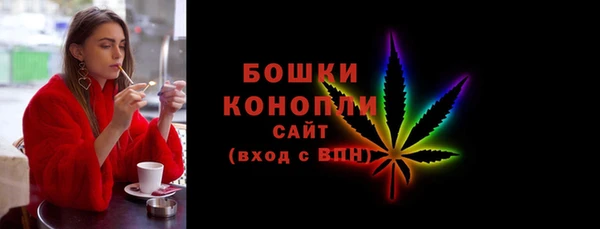 шишки Белоозёрский