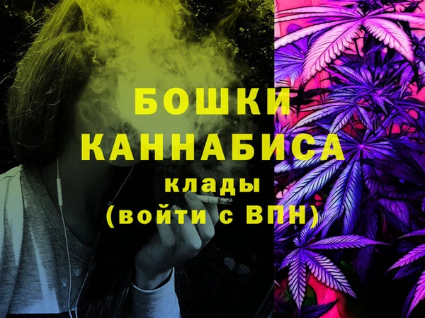 соль ск Белокуриха