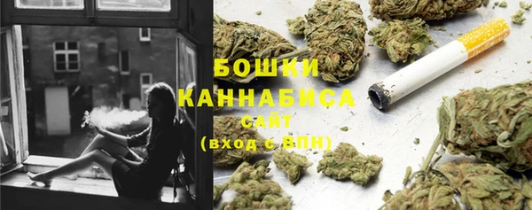 соль ск Белокуриха