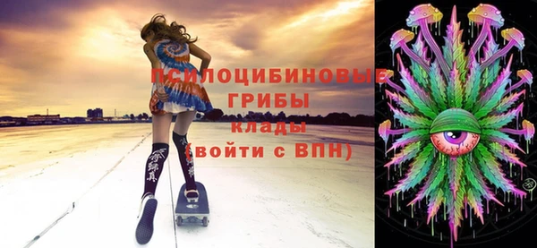 шишки Белоозёрский